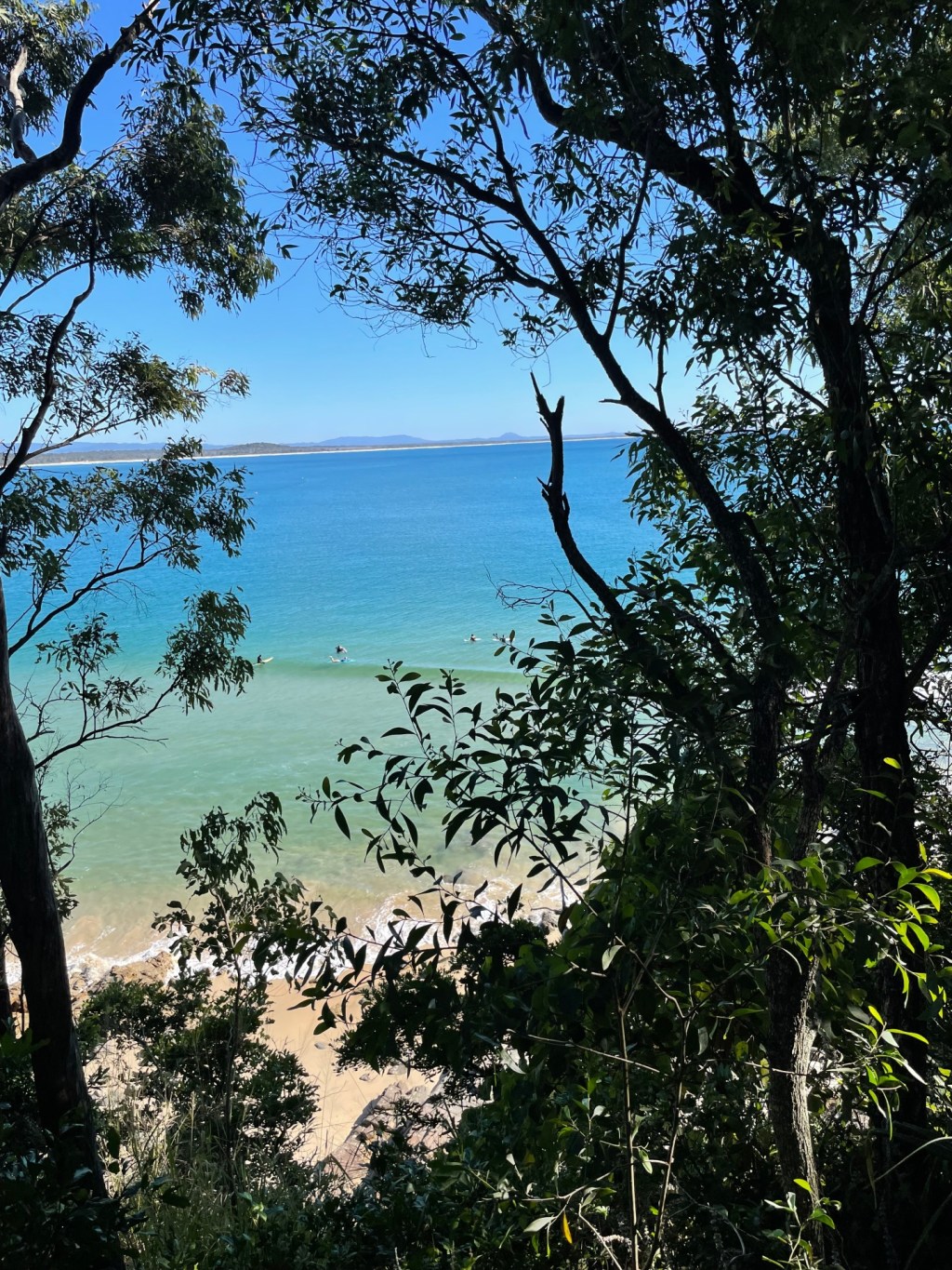 Embracing the Journey: A Trail Run Without a&nbsp;Watch