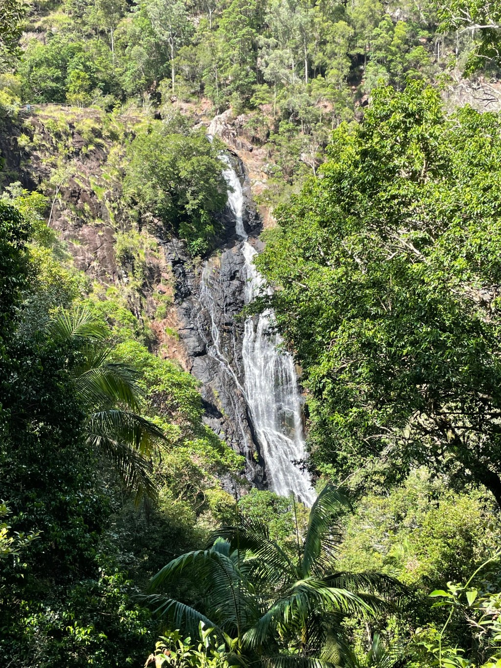 A Lesson in&nbsp;Mindfulness