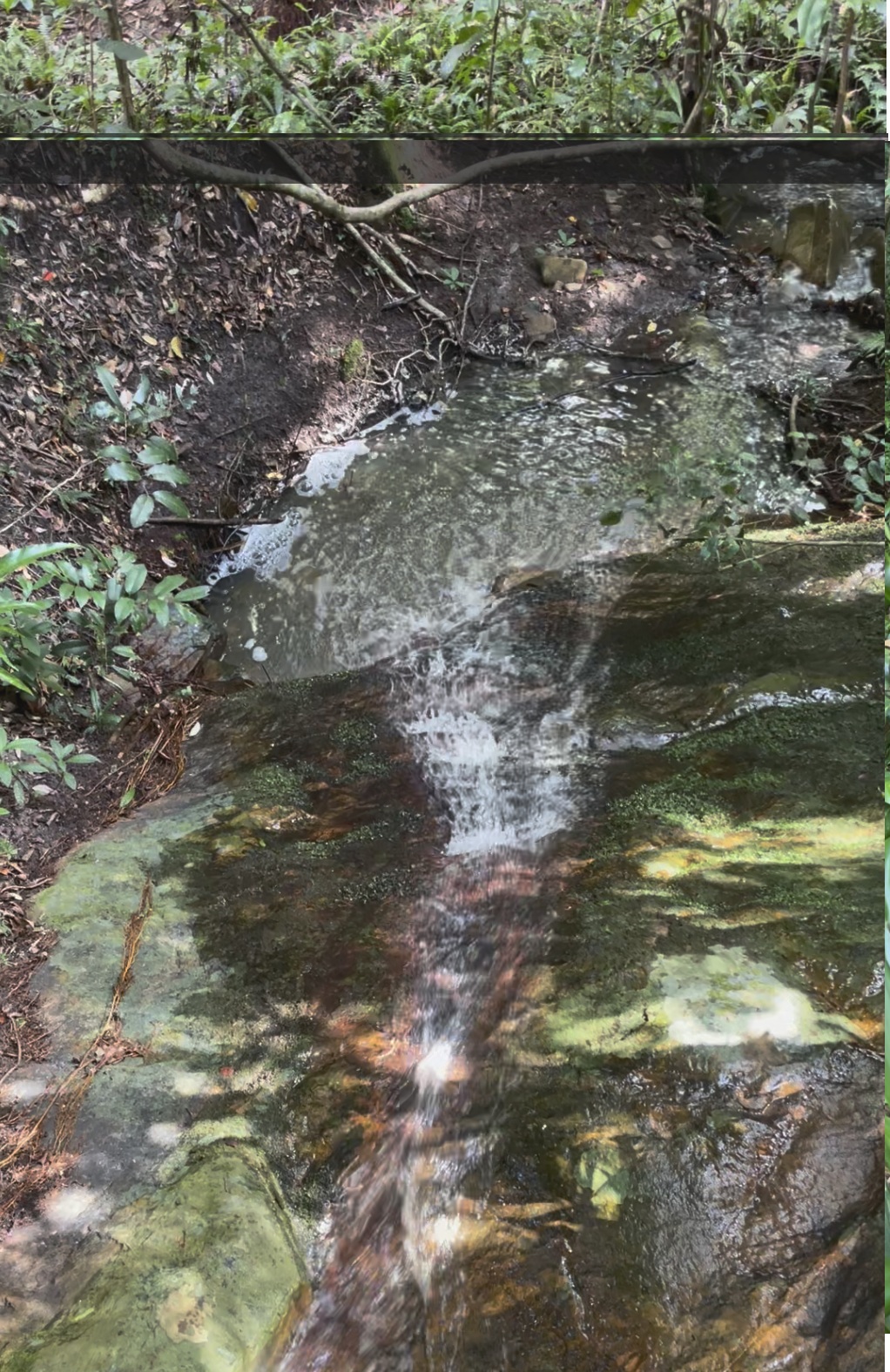 Walking in Wet Weather — Lessons from the&nbsp;Rain