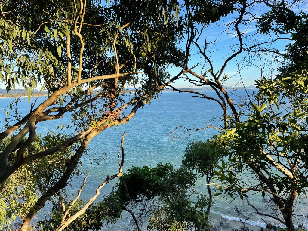 What is Mindfulness?